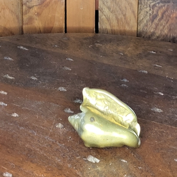 Brass Sea Shell - Picture 10 of 14